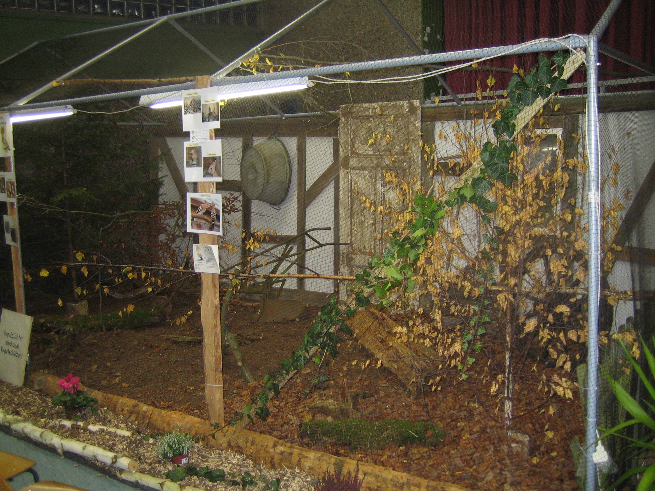 Unbenanntes Dokument