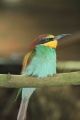 IMG_4536.JPG