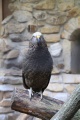 IMG_1422.JPG